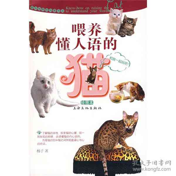 AI创作大赛：猫淘作品设计与名称创意挑战