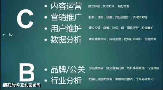 独家揭秘：吸引用户眼球的顶级子汇编，全面涵热门话题与趣味内容