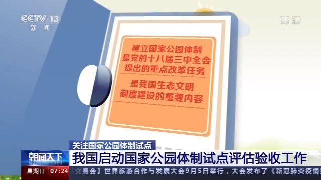 如何撰写高质量体制内报告：关键要点与技巧解析