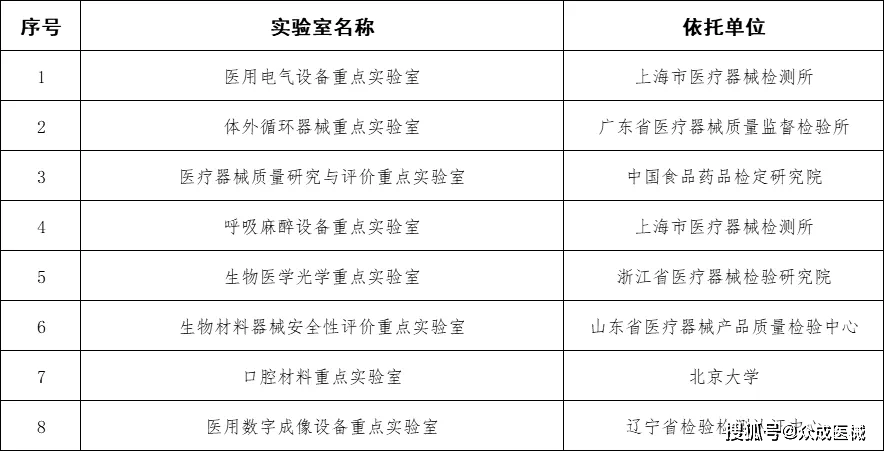 人工智能基础教程实验报告与综合总结：涵关键概念、技术实践与成果分析