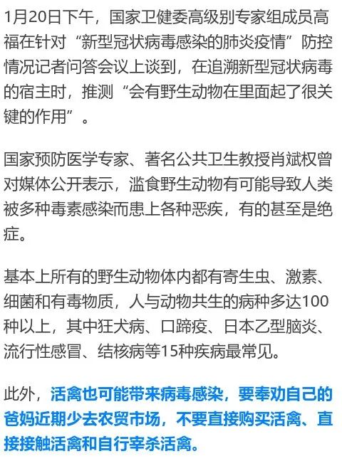 女儿创作并发朋友圈的精选句子及灵感汇编：全面攻略与案例分析