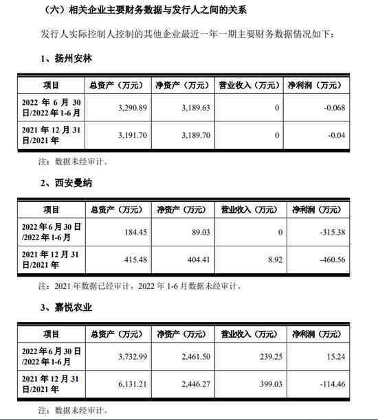 实际经营人如何认定企业性质、股东及自身身份