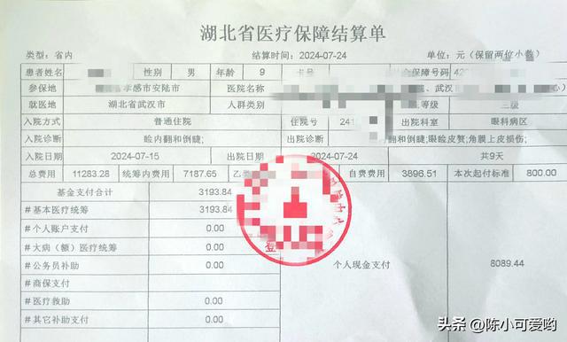 家属可以要求提前出院吗：医保、现在、病人、强制情况分析