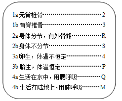 全面解析：如何撰写关于彼岸花的AI文案，涵用户搜索的各类相关问题