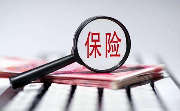 家庭财产保险理赔全指南：详细解析赔偿流程与要点