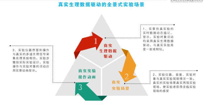 医学虚拟仿真实验报告：撰写教程、总结范例与教学平台介绍