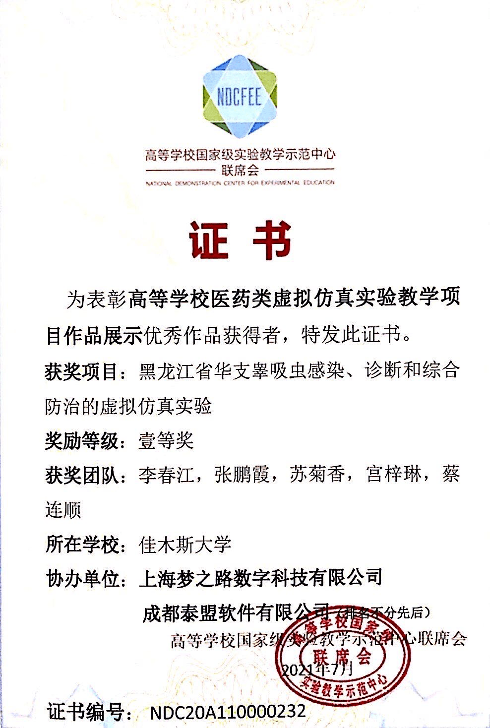 医学虚拟仿真实验报告：撰写教程、总结范例与教学平台介绍