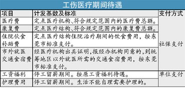 '工伤事故中小工权益保障与责任归属解析'