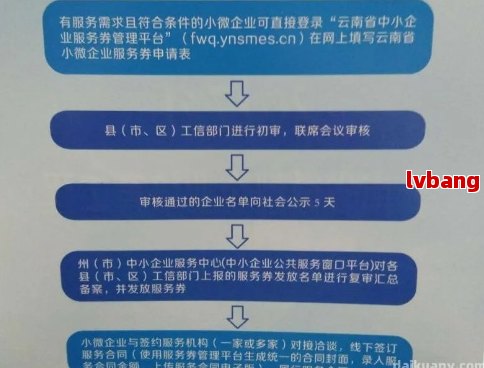 小微企业认定申请：详细指南与办理地点全解析