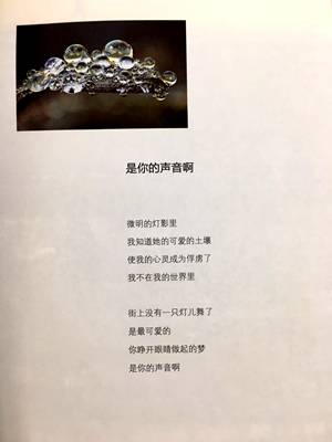 ai小冰创作的诗集