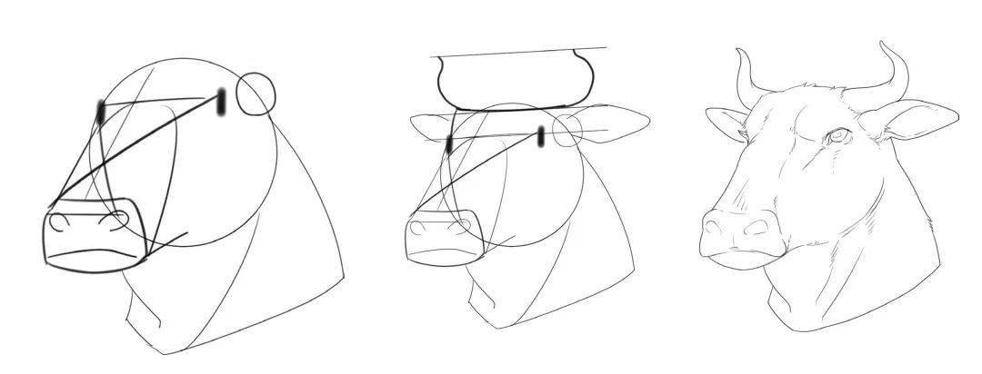 二次元动物线稿绘制技巧与简笔画法