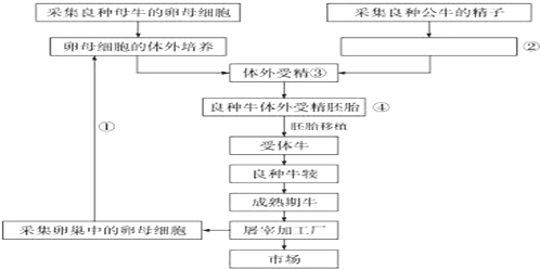 临沂市工伤认定、赔偿标准与处理流程详解：全面解答工伤相关疑问