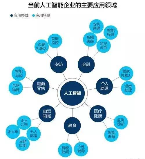 '深入解析：AI数据标注在人工智能训练中的关键作用与意义'