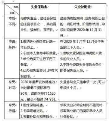 2023年度山东失业补助金领取资格详解与发放标准指南