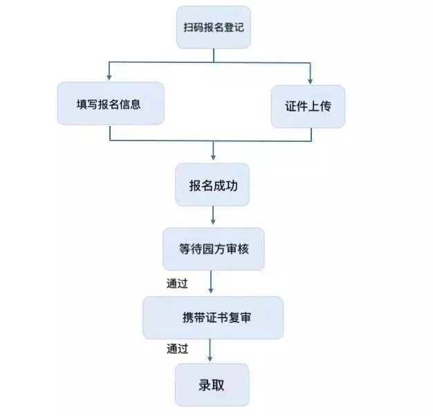 体检与网上认定先后顺序解析：全面指南助您顺利办理认定手续