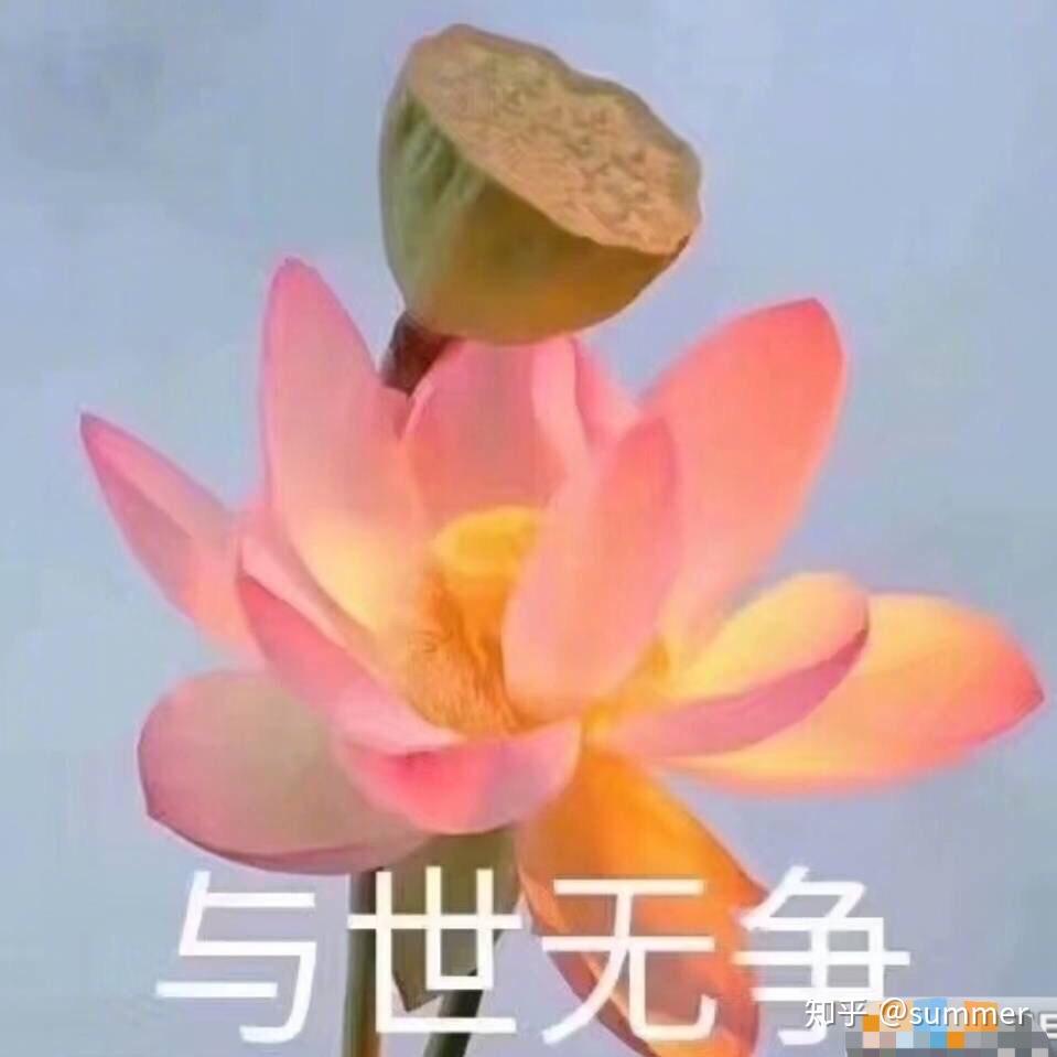 莲花配文：书中寻觅莲花佳句，打造独特莲花文字头像