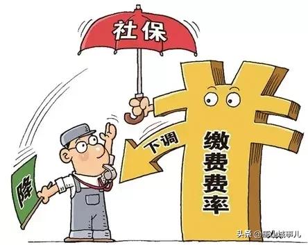 工伤认定后保险公司赔偿流程及赔偿期限详解：从工伤认定到赔偿金发放全解析