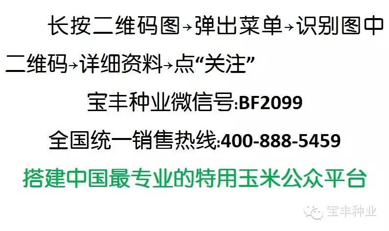 ai2020崩溃报告：详析AI系统出现崩溃现象的原因与解决方案