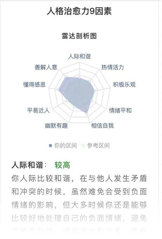 个性特质深度剖析：性格报告综合分析解读