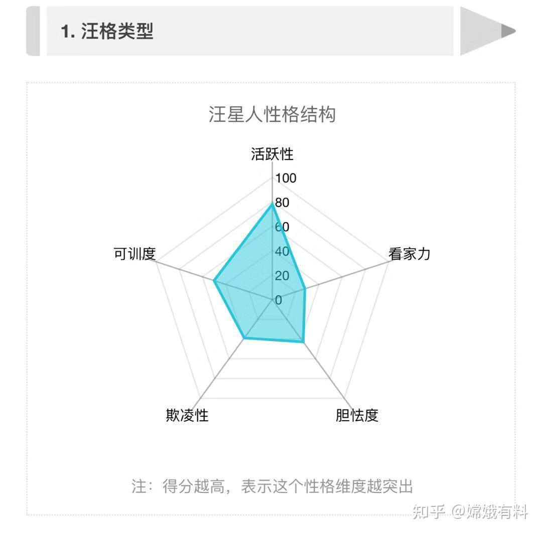 性格报告ai