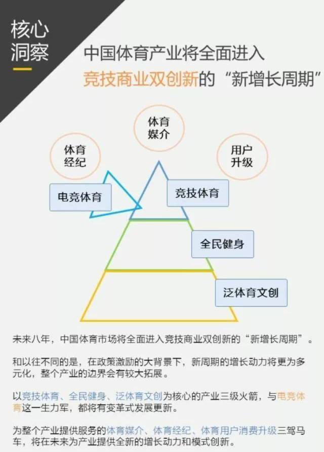 全方位体育产业分析报告撰写指南：涵市场趋势、业务模式与用户需求解析