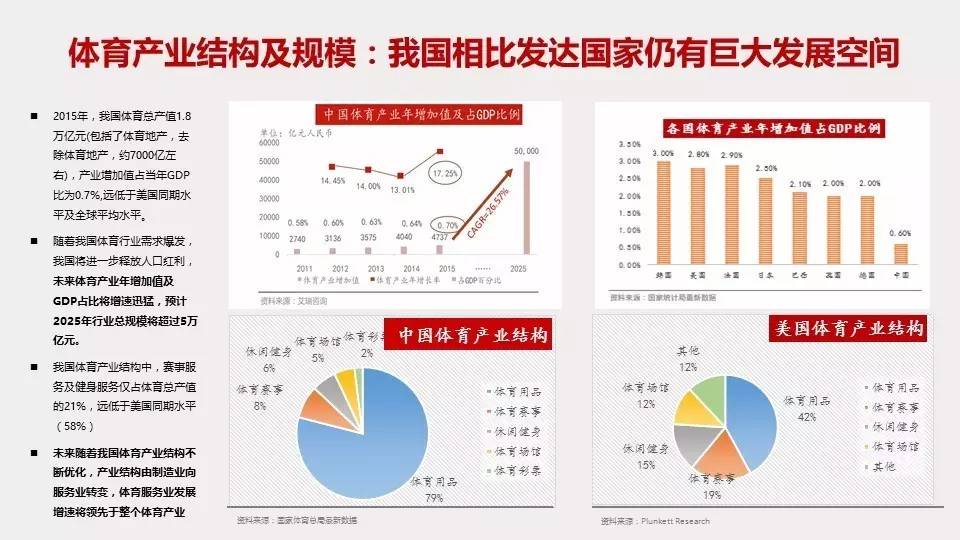 全方位体育产业分析报告撰写指南：涵市场趋势、业务模式与用户需求解析