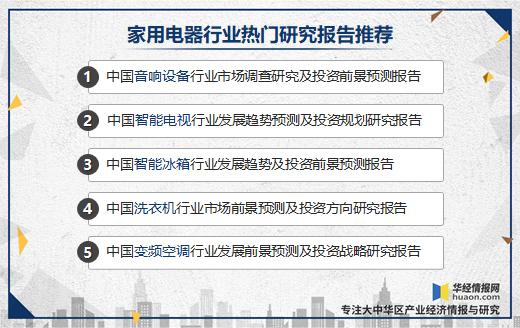 体育项目可行性分析报告：撰写指南、范文、模板及立项研究报告