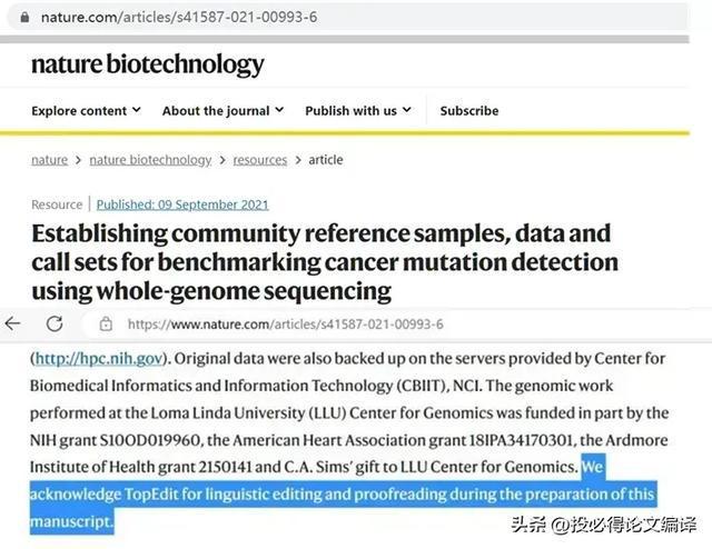 AI英文写作润色：提升学术文章质量、优化商务邮件表达、加强简历求职效果