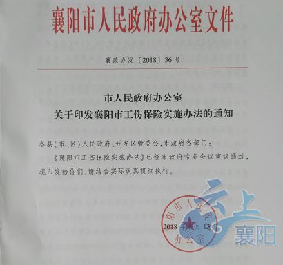 最新工伤认定参考标准大全：全面解析工伤科认定细则与常见问题解答