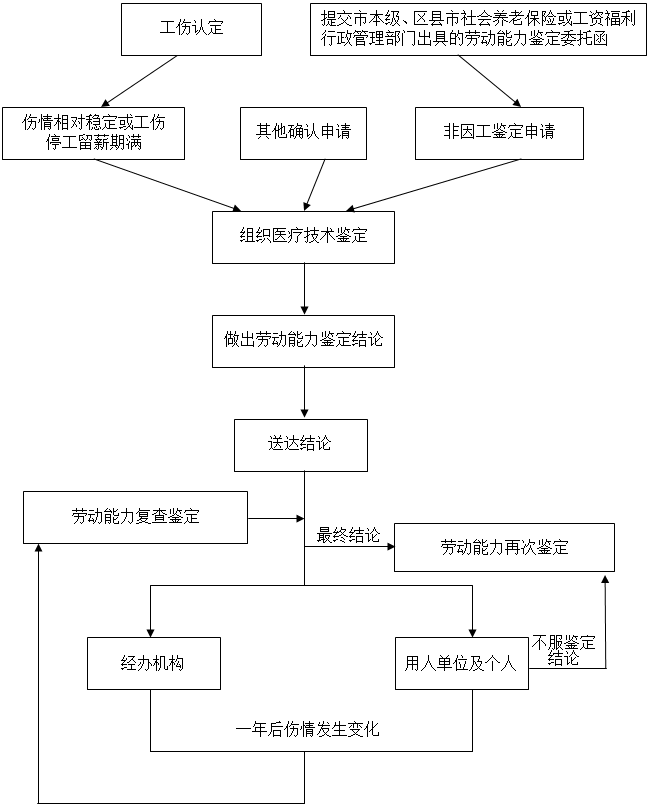 工伤认定科隶属于人力资源和社会保障部门的管理架构分析