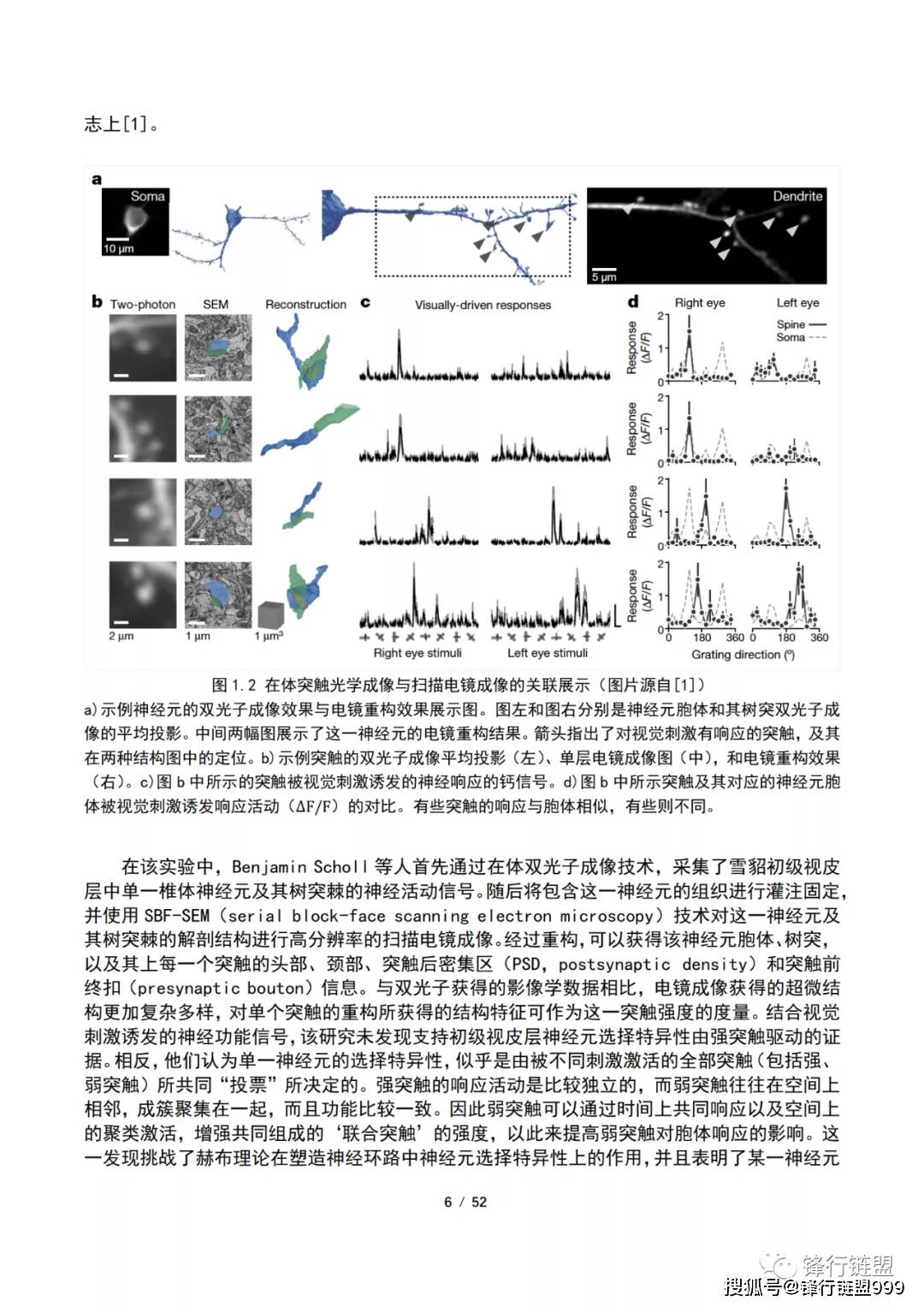 大众对人工智能的看法：认识、作文、英语表达及其称谓与理解差异