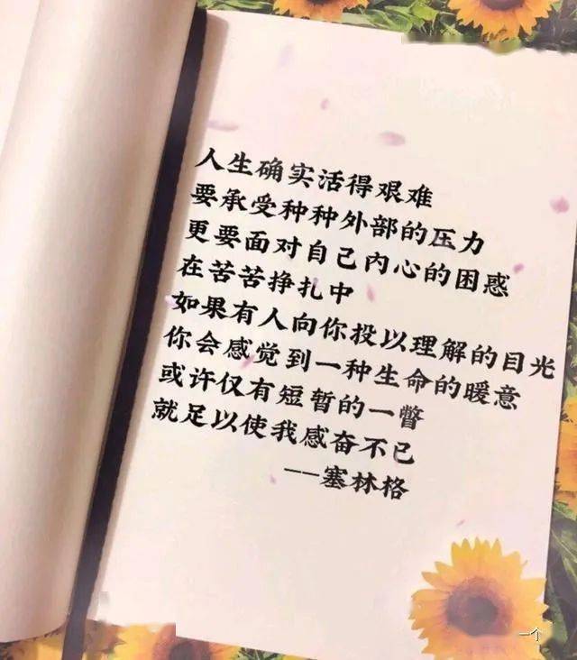 爱二次元的文案：经典句子与短句汇编，表达热爱二次元的情感精华