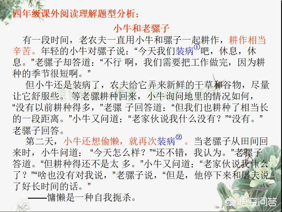 小牛语文：写作与阅读课程评价及购买指南，公众号与网上课程详情