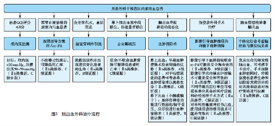 职业期间脑出血事故责任界定与划分指南