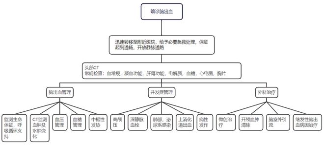 职业期间脑出血事故责任界定与划分指南