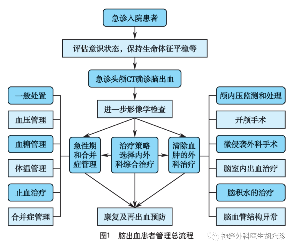 职业期间脑出血事故责任界定与划分指南