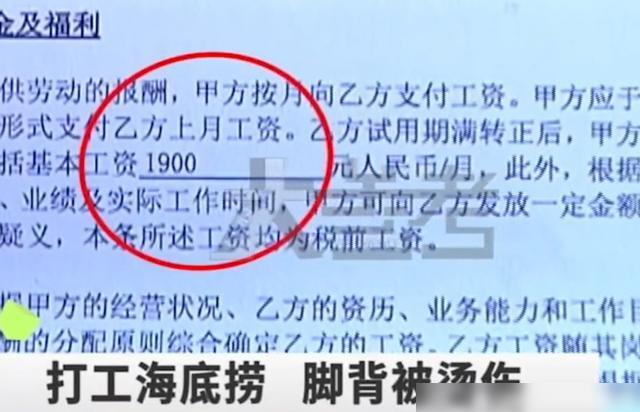 工作时间生病工资待遇计算与发放及单位责任解析