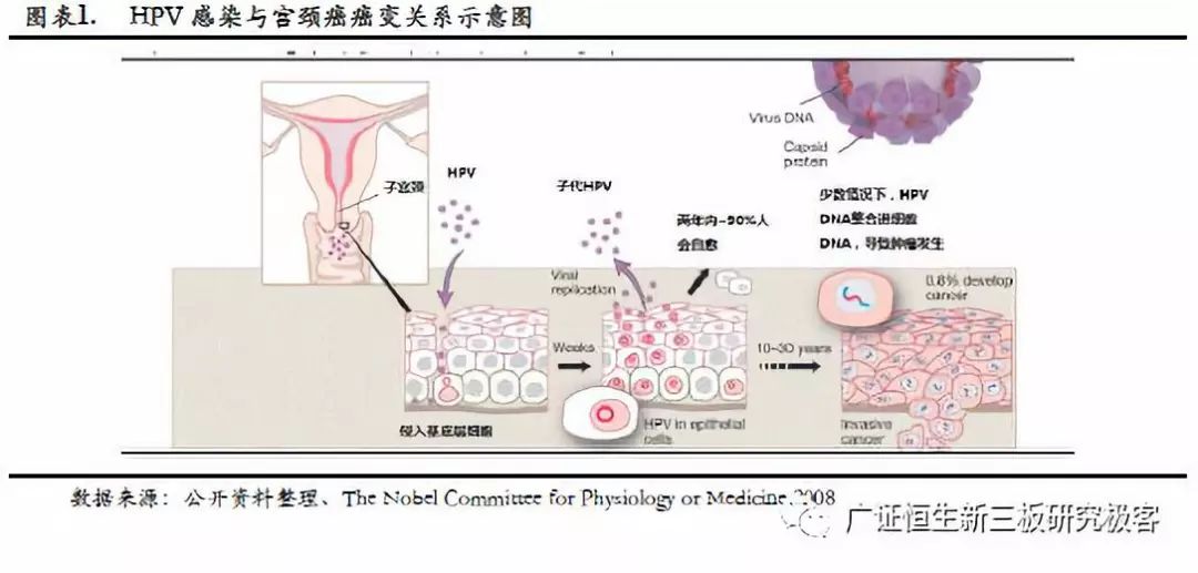 宫颈癌细胞筛查详细报告：早期诊断与风险评估