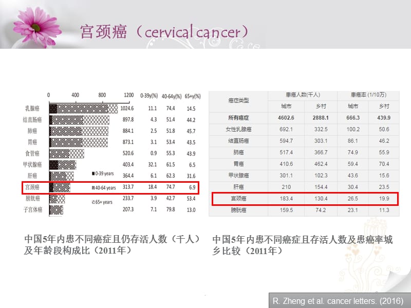 宫颈癌细胞筛查详细报告：早期诊断与风险评估