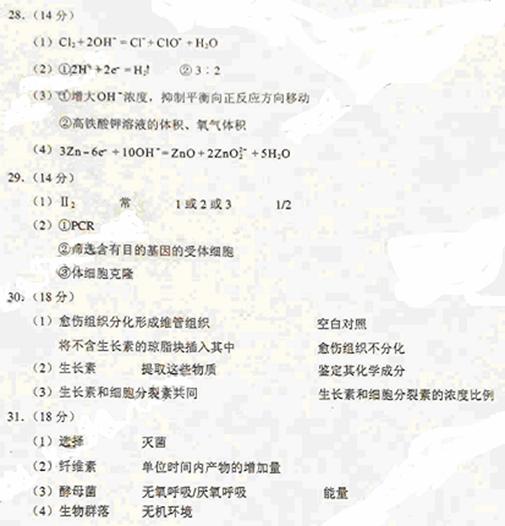 完整指南：工作证明在工伤认定流程中的应用与操作步骤