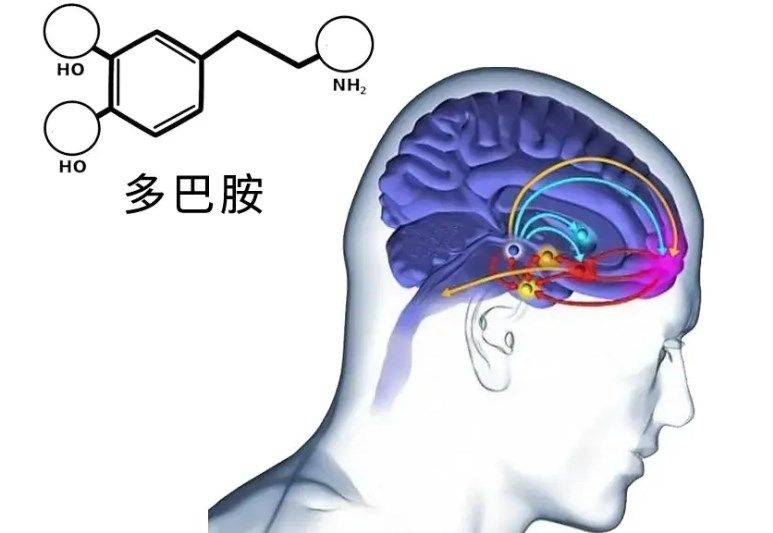 激发快乐因子：多巴胺效应创意文案攻略