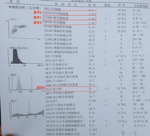 AI智能解读血常规报告，全面解析各项指标及临床意义