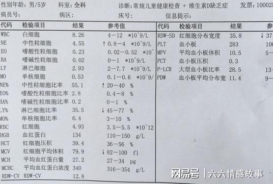 AI智能解读血常规报告，全面解析各项指标及临床意义