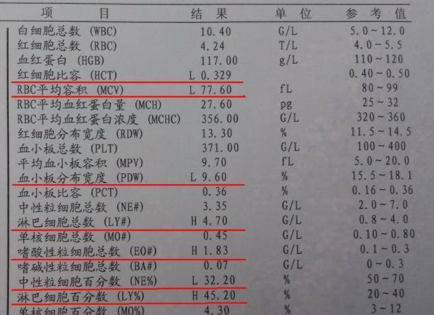 AI智能解读血常规报告，全面解析各项指标及临床意义