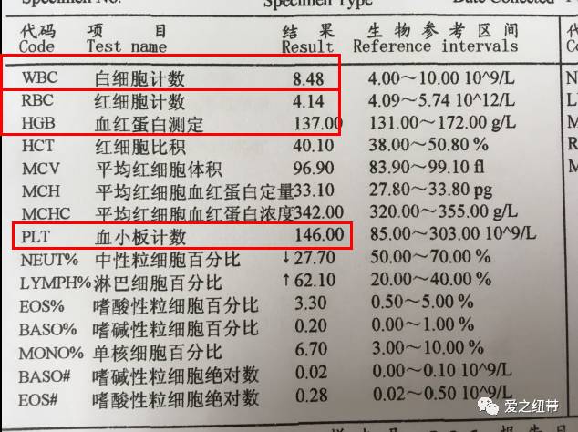 AI智能解读血常规报告，全面解析各项指标及临床意义