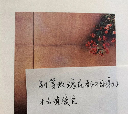 关于AI绘画照片的文案短句：英文精选与精华句子集锦