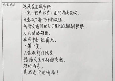 校园风光描绘：诗意长句文案汇编