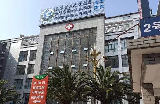 云南省滇南中心医院体检中心报告怎么查看及挂号方式与体检报告查询指南