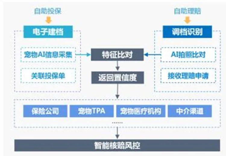 揭秘AI科技领域：全方位解析从业者身份、角色与职业发展路径