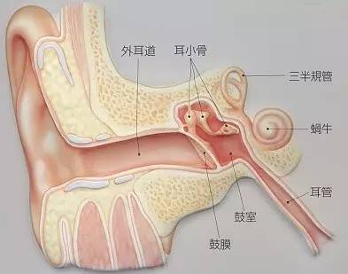 耳突发性聋,会影响另一只耳朵吗？62岁患者治疗方法探究